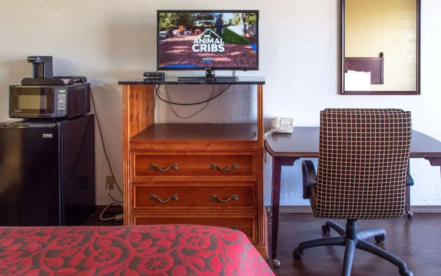 1 Bedroom Suite