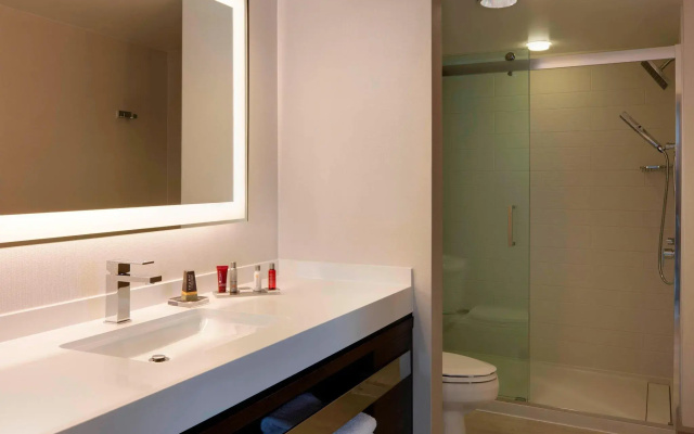 1 Bedroom Suite with city view