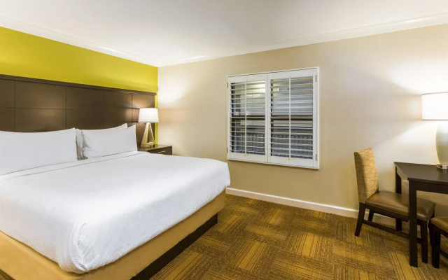Double Suite