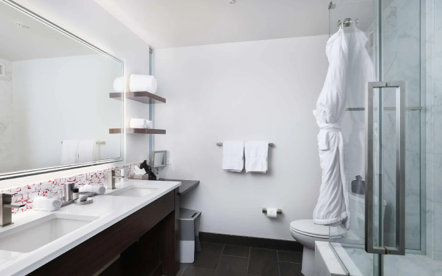 1 Bedroom Double Suite with mountain view