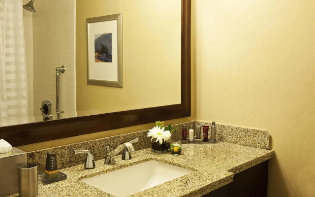 1 Bedroom Executive Double Suite