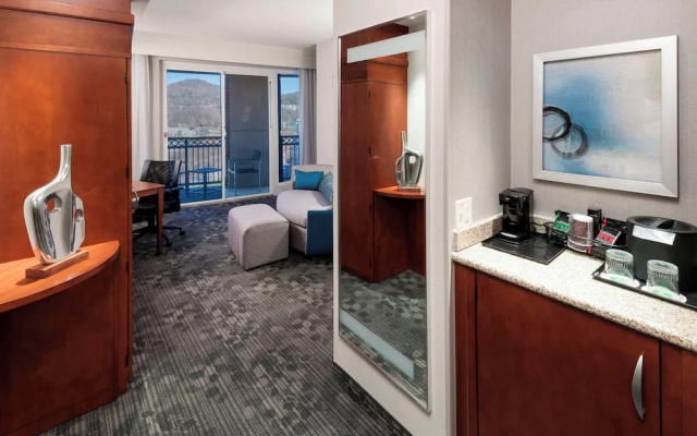 1 Bedroom Suite