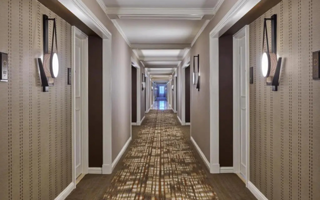 Executive Double Suite