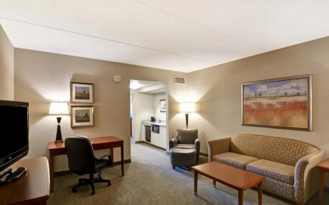 1 Bedroom Suite
