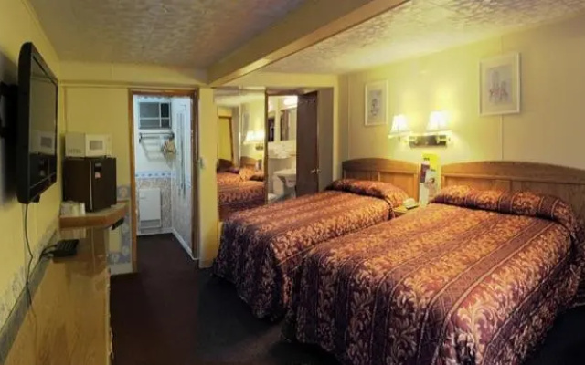 Standard Quadruple room