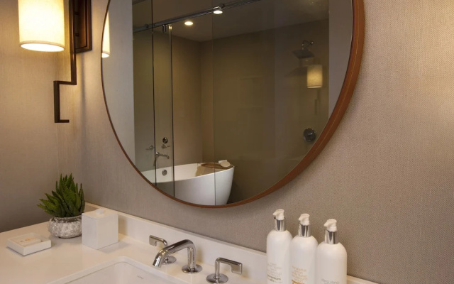 1 Bedroom Suite