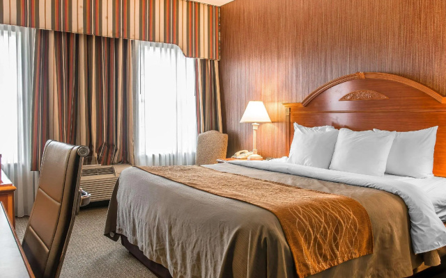 Business Double room