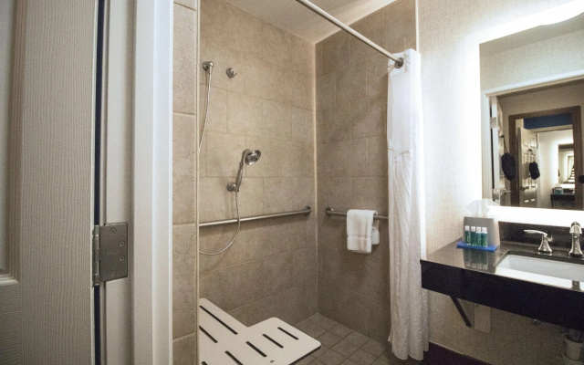 1 Bedroom Suite