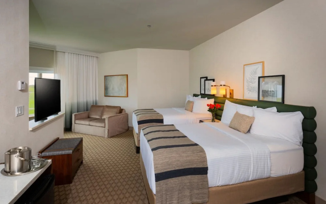 Executive Double Suite