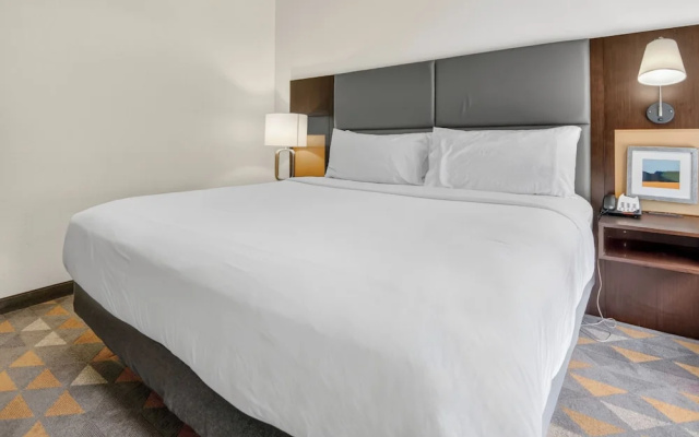 1 Bedroom Suite