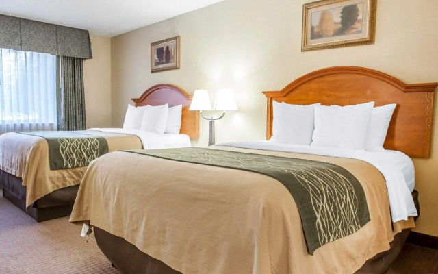 Double Suite