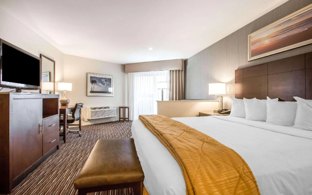 1 Bedroom Standard room