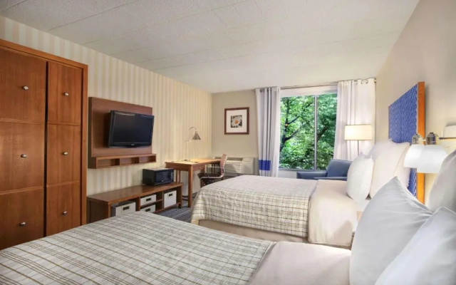 Business Suite