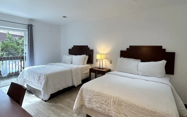 Standard Double room with courtyard view