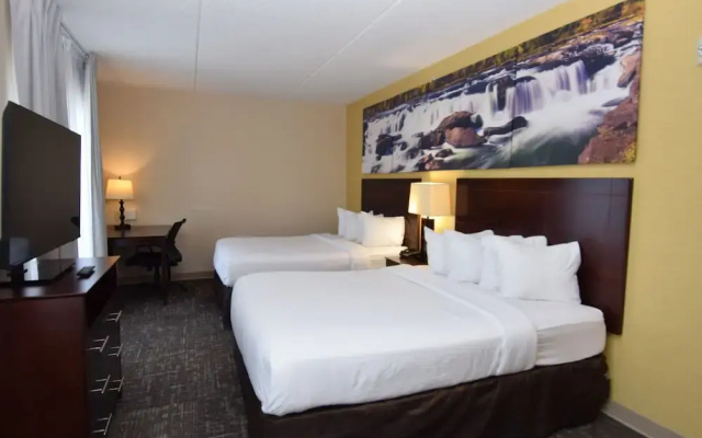 Standard Suite