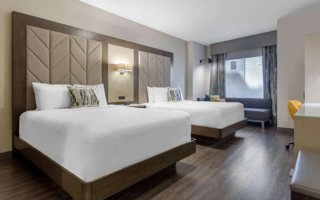 Quadruple room