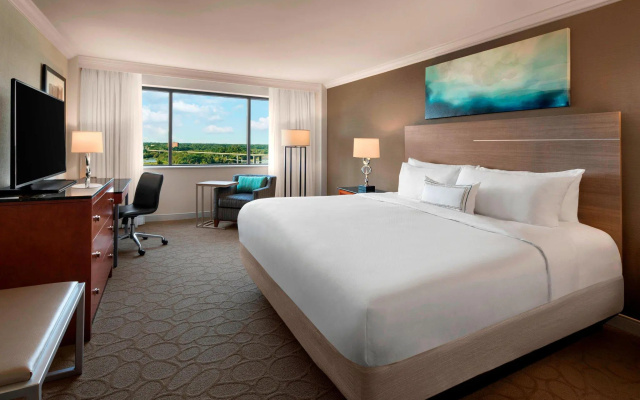 Standard Double room with river view