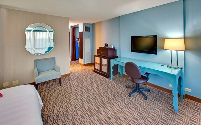 1 Bedroom Double Suite