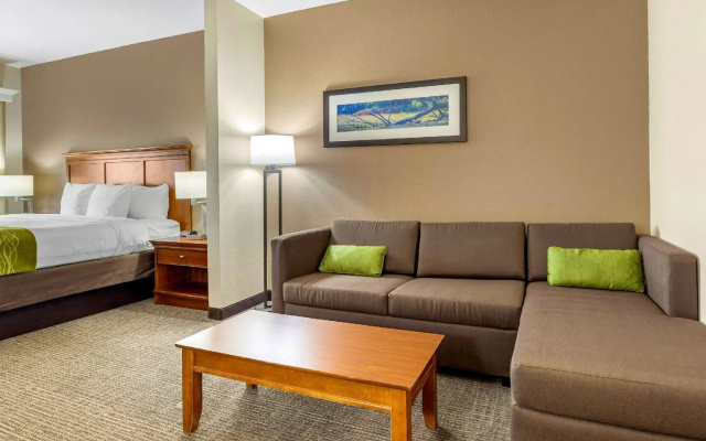 1 Bedroom Suite