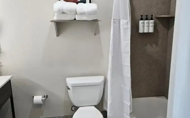1 Bedroom Suite