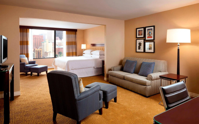 Double Junior Suite with river view