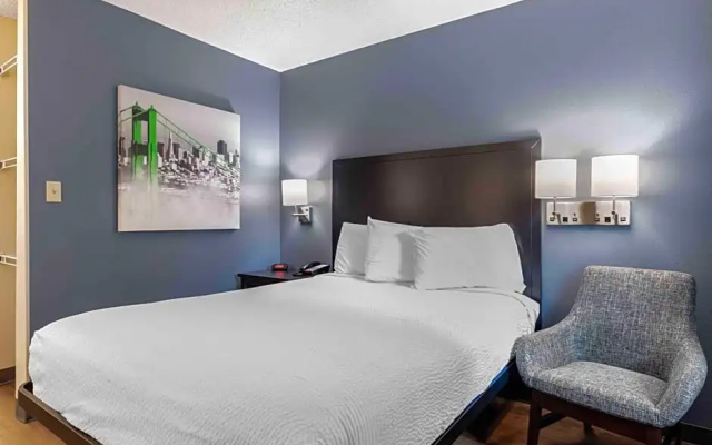 Double Studio Suite
