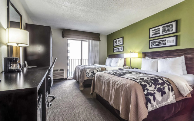 Standard Quadruple room with bay view