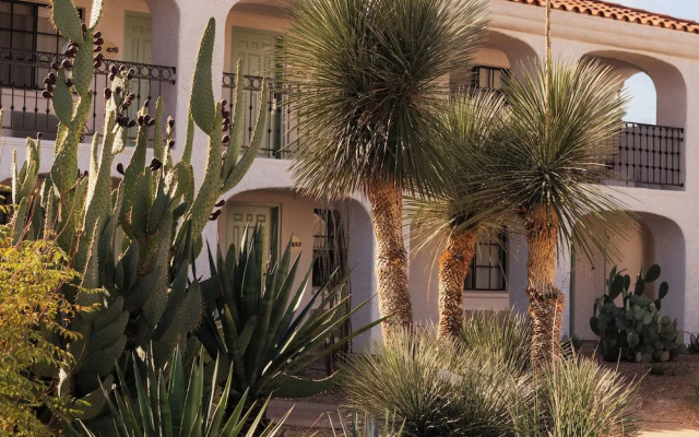 Double Duplex Villa with balcony and with garden view