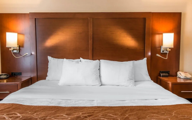 1 Bedroom Suite