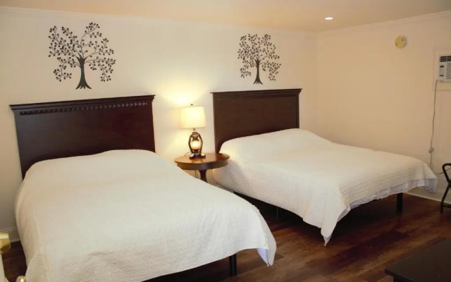Standard Double room with mountain view
