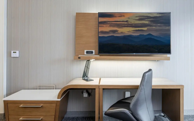 1 Bedroom Suite