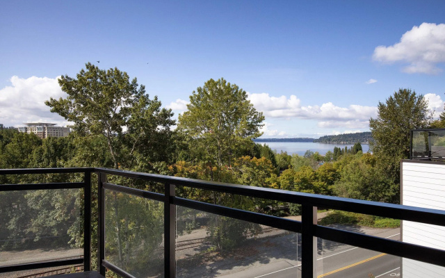 Double Studio with balcony and with lake view