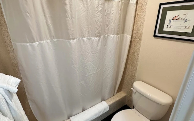 1 Bedroom Suite