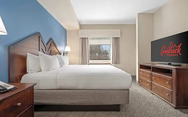 1 Bedroom Suite