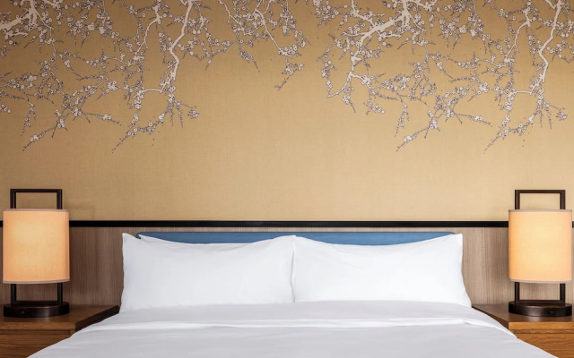 Luxury Double room with city view