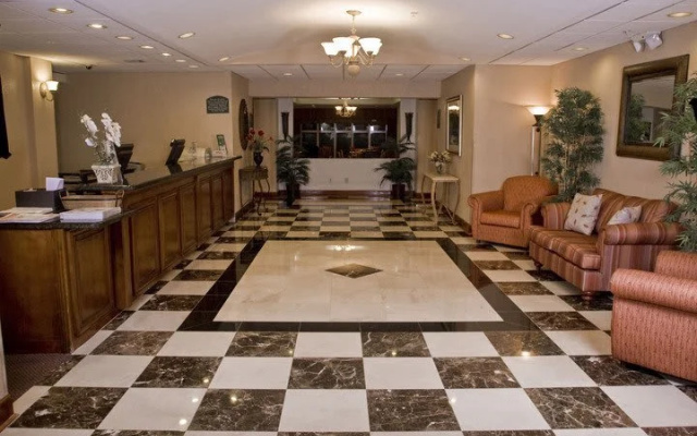 Standard Suite