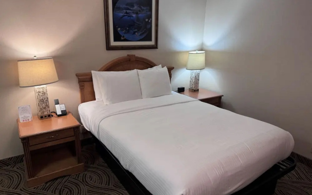 Economy Queen with No View Double room