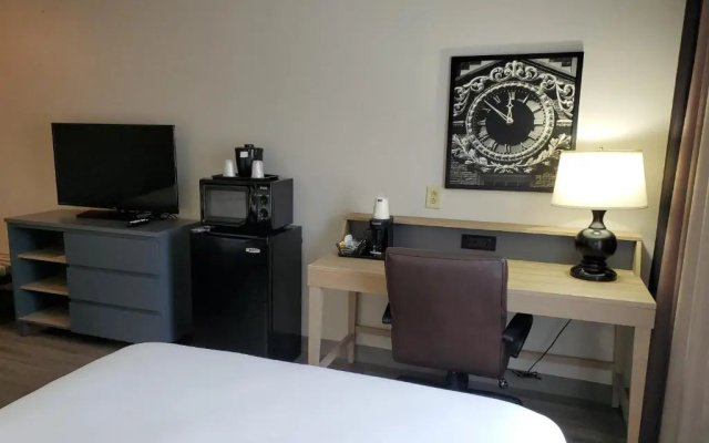 1 Bedroom Quadruple Suite