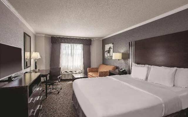 Deluxe Suite with view