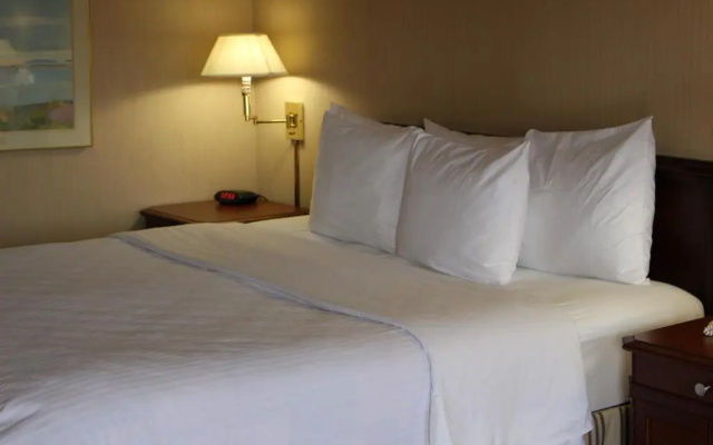 Deluxe Double Suite