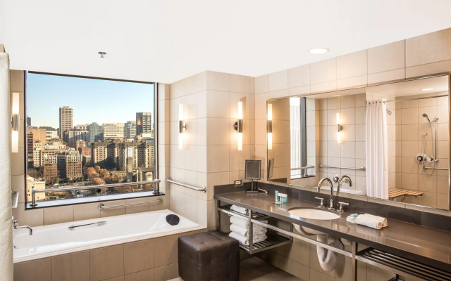 Double Suite with mountain view