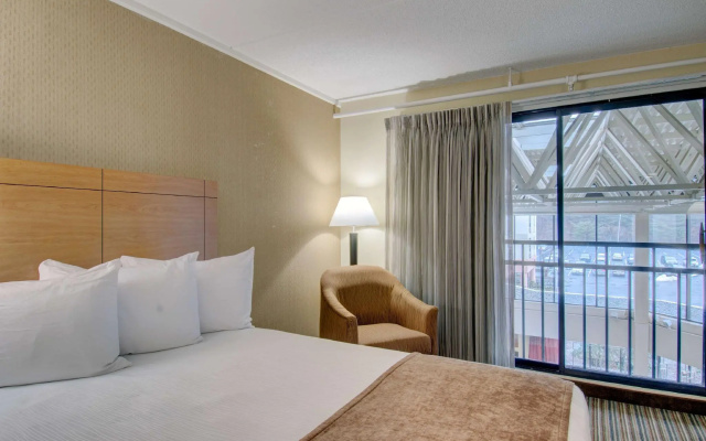 Standard Quadruple room with courtyard view