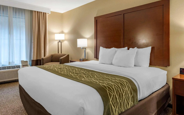 1 Bedroom Standard room
