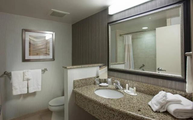 1 Bedroom Double Suite with courtyard view