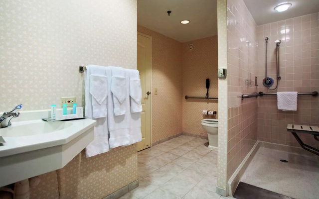 1 Bedroom Suite