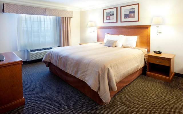1 Bedroom Double Suite