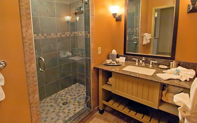 Standard Double room with balcony and with land view