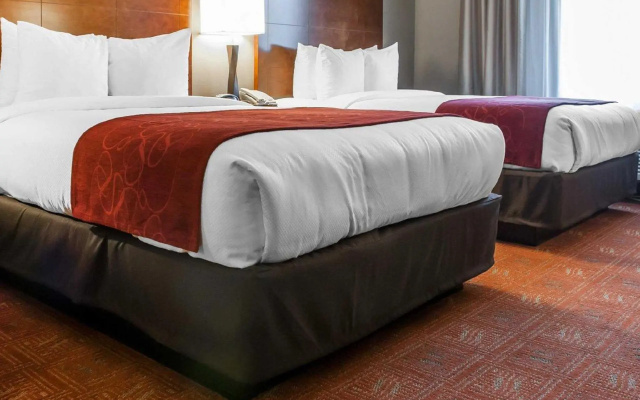 Double Suite