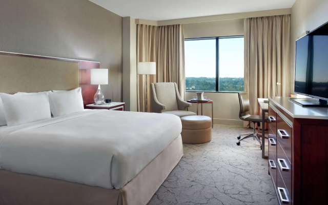 1 Bedroom Double Suite