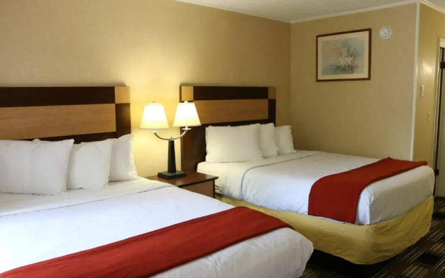 Standard Double room with mountain view